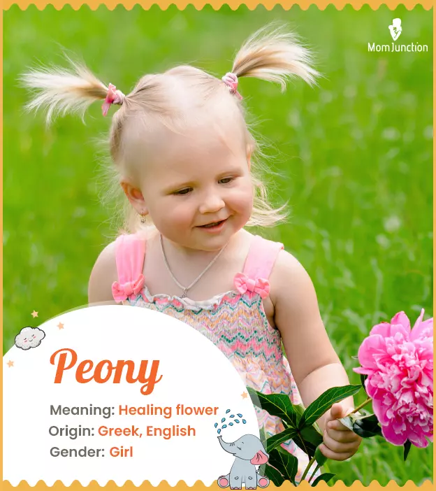 Explore Peony: Meaning, Origin & Popularity | MomJunction