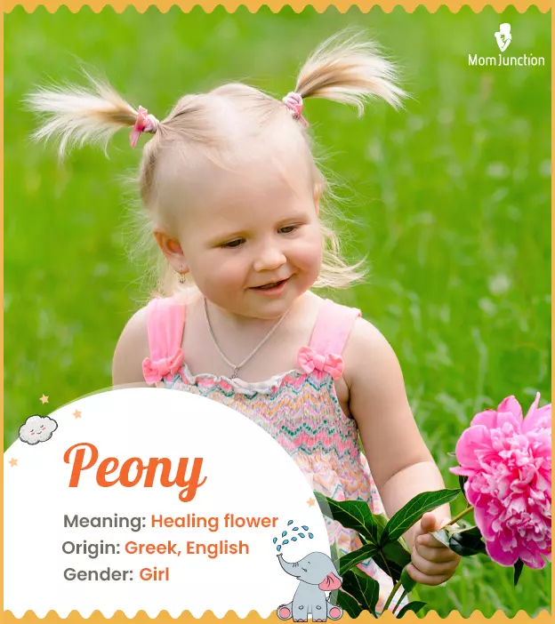 Explore Peony: Meaning, Origin & Popularity_image