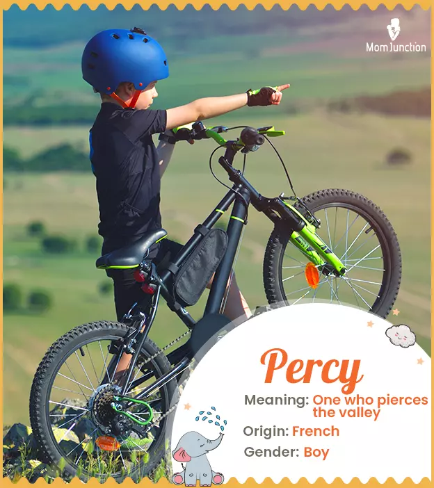 Percy Name, Meaning, Origin, History, And Popularity | MomJunction