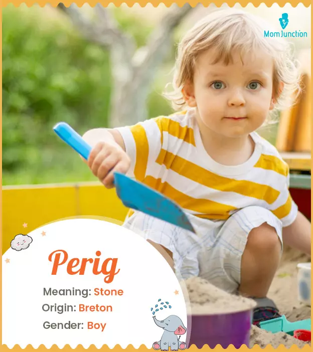 Perig Name, Meaning, Origin, History And Popularity_image