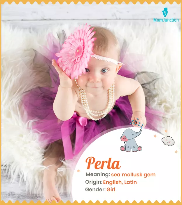 Perla Name, Meaning, Origin, History, And Popularity | MomJunction