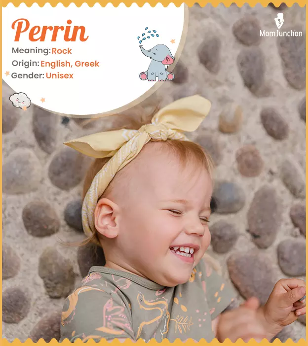 perrin: Name Meaning, Origin, History, And Popularity_image