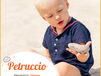 Petruccio means stone
