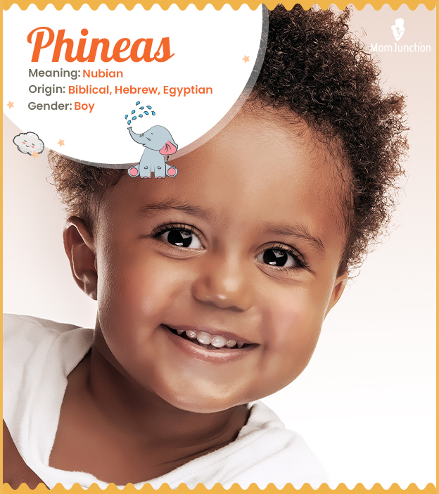 phineas: Name Meaning, Origin, History, And Popularity_image