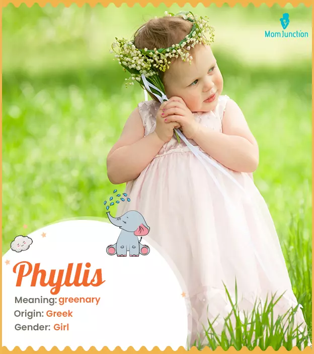 Phyllis Name Meaning, Origin, History, And Popularity_image