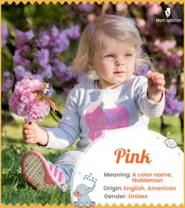 Explore Pink: Meaning, Origin & Popularity | MomJunction