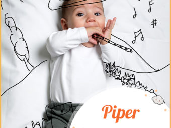 Piper, the english name for a pipe player