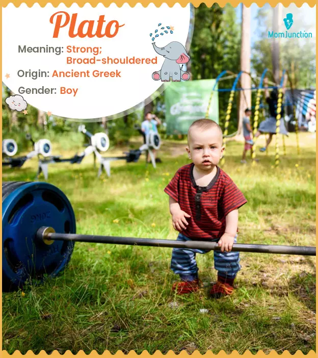 Plato Name, Meaning, Origin, History And Popularity | MomJunction