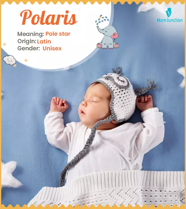Polaris means pole star.