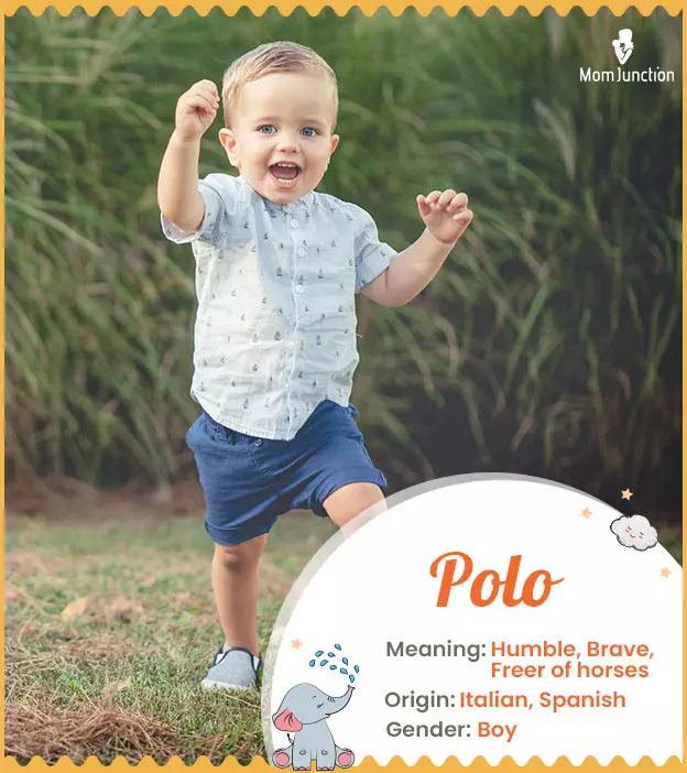 Polo, a masculine na