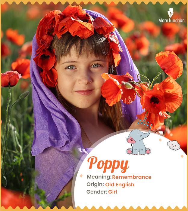 Poppy Name Meaning, Origin, History, And Popularity_image