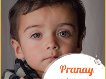 Pranay means love