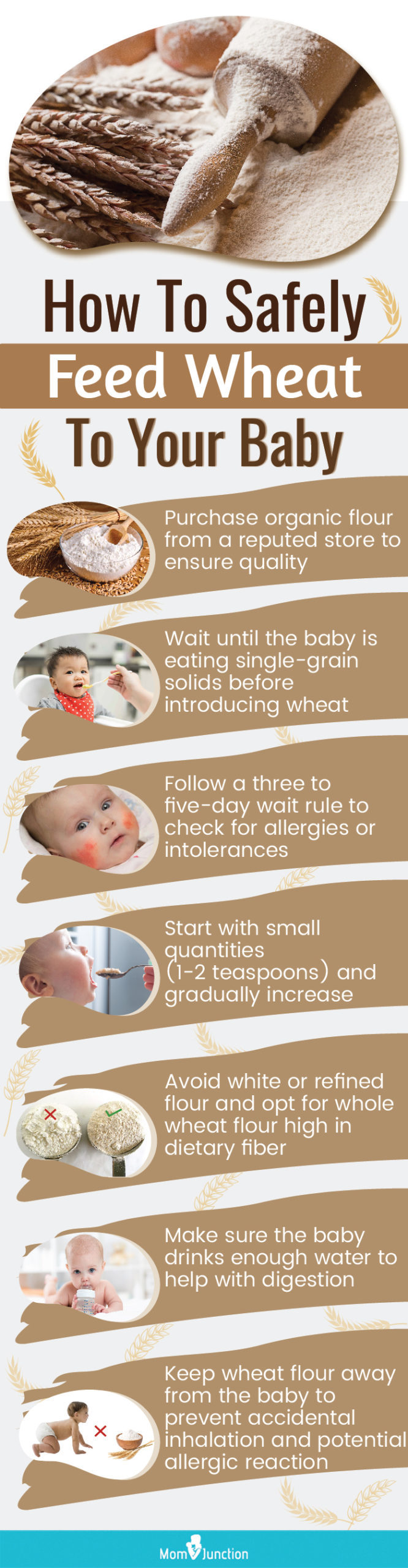 precautions to take while feeding wheat to babies (infographic)