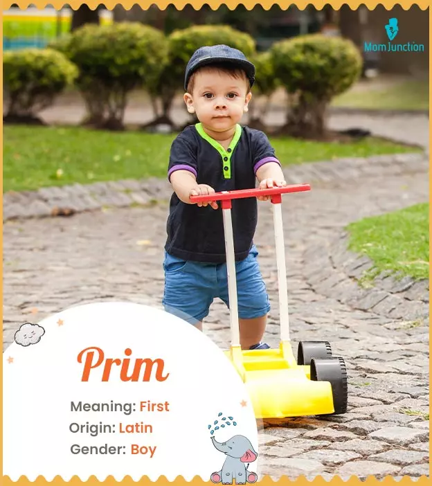 Explore Prim: Meaning, Origin & Popularity_image