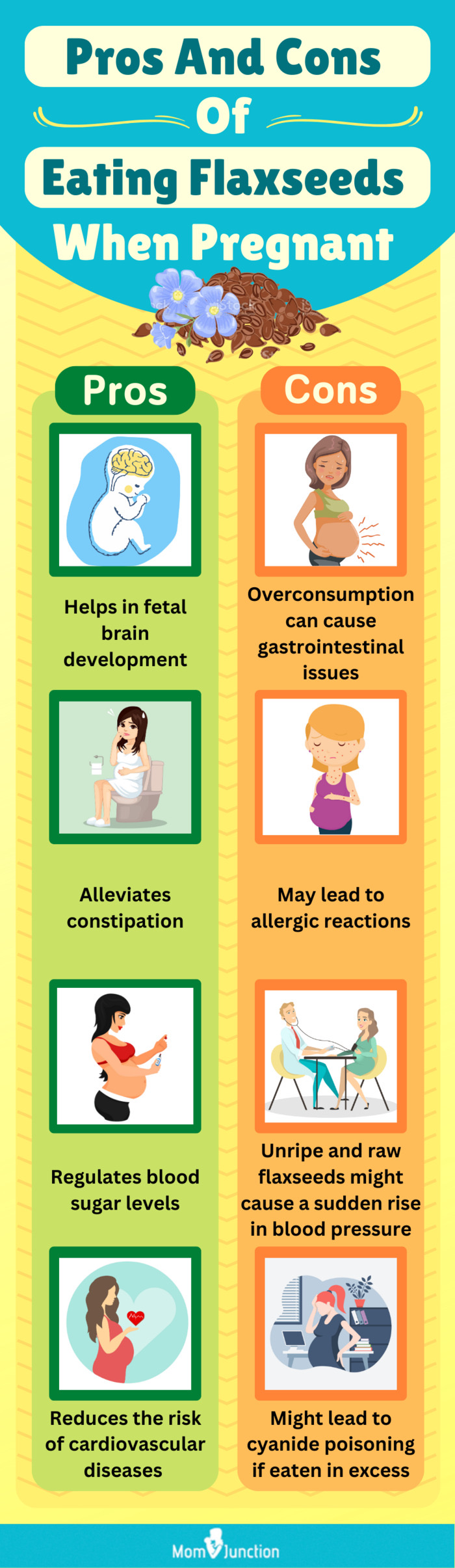 pros and cons of eating flaxseeds when pregnant (infographic)