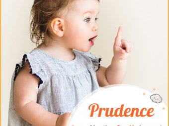 Prudence meaning good judgement