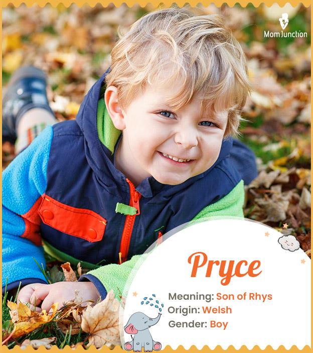 Pryce Name Meaning, Origin, History, And Popularity_image