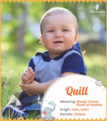 Quill, a unisex name