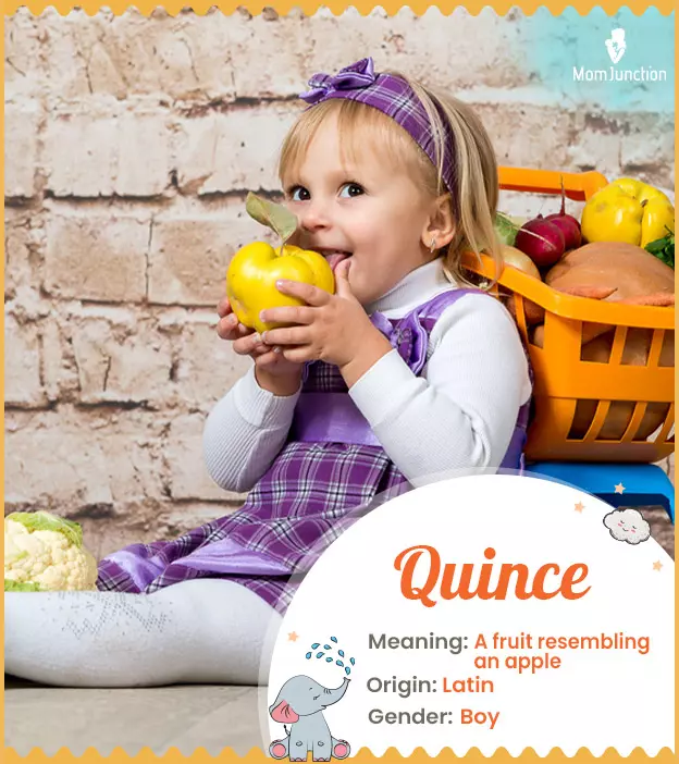 Quince, meaning Cydo