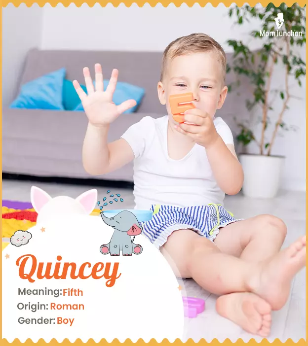 quincey: Name Meaning, Origin, History, And Popularity_image