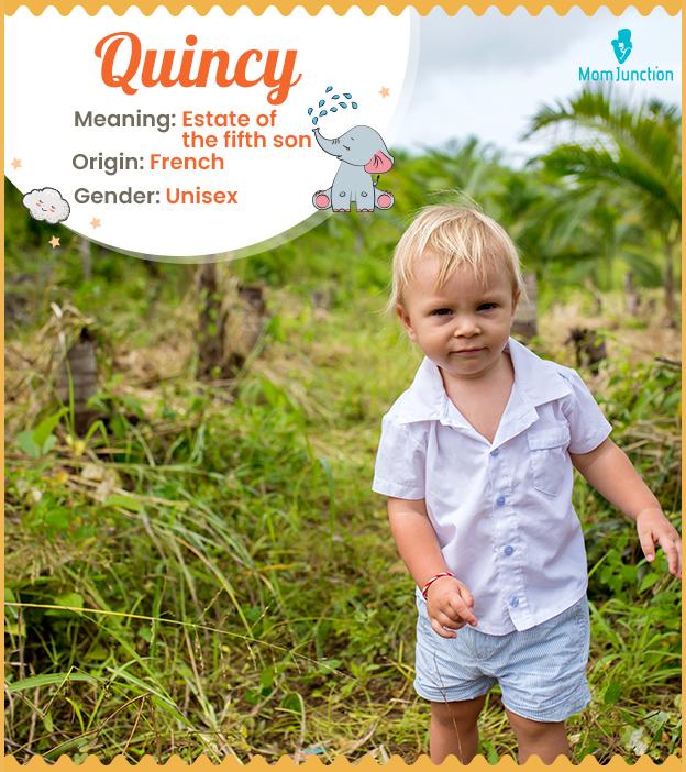 Quincy Name Meaning, Origin, History, And Popularity_image