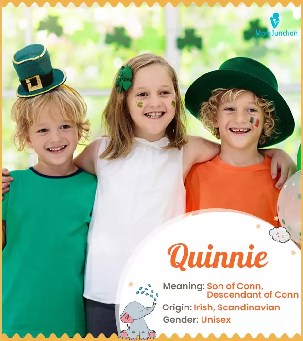 Quinnie, an Irish un