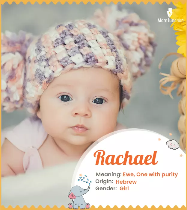 Rachael: Name Meaning, Origin, History, And Popularity ...