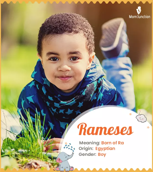 Rameses Name Meaning, Origin, History, And Popularity_image