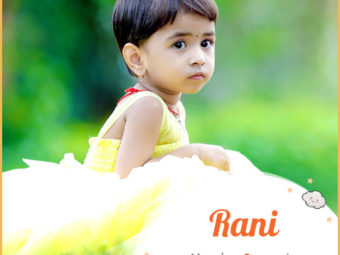 Rani, meaning queen