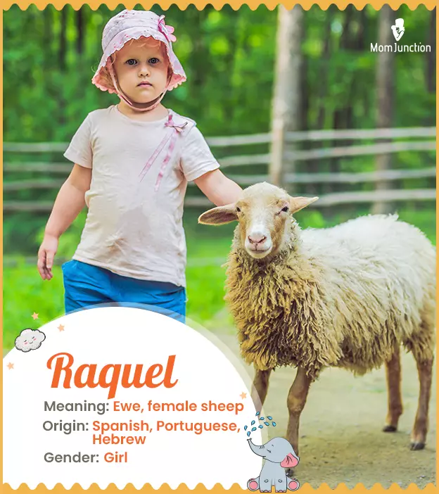 raquel: Name Meaning, Origin, History, And Popularity_image