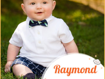 Raymond, a Germanic name