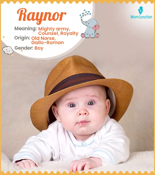 Raynor: Name Meaning, Origin, History, And Popularity | MomJunction