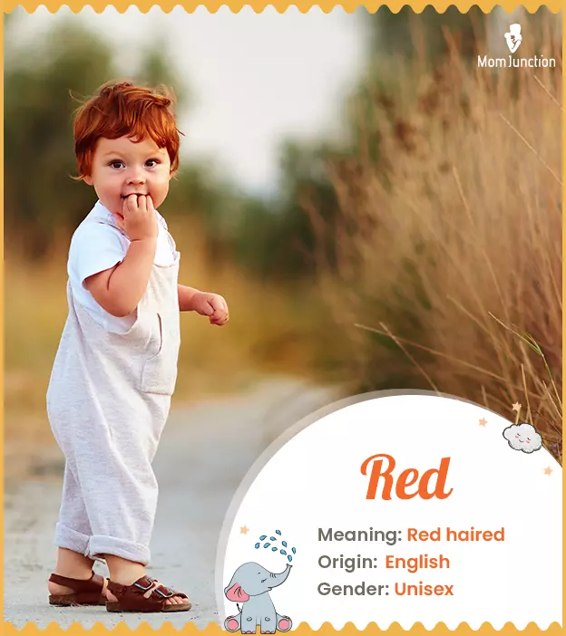 red: Name Meaning, Origin, History, And Popularity | MomJunction