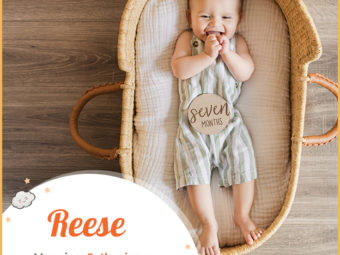 Reese, a unique Welsh name