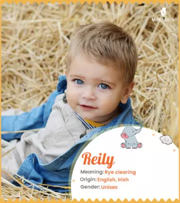 Explore Reily: Meaning, Origin & Popularity_image