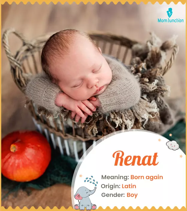 renat: Name Meaning, Origin, History, And Popularity_image