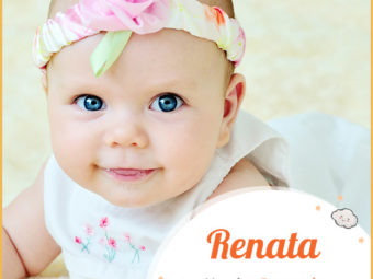 Renata a name for reawakening