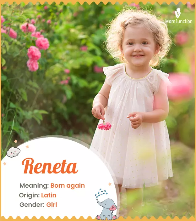 Reneta means born ag