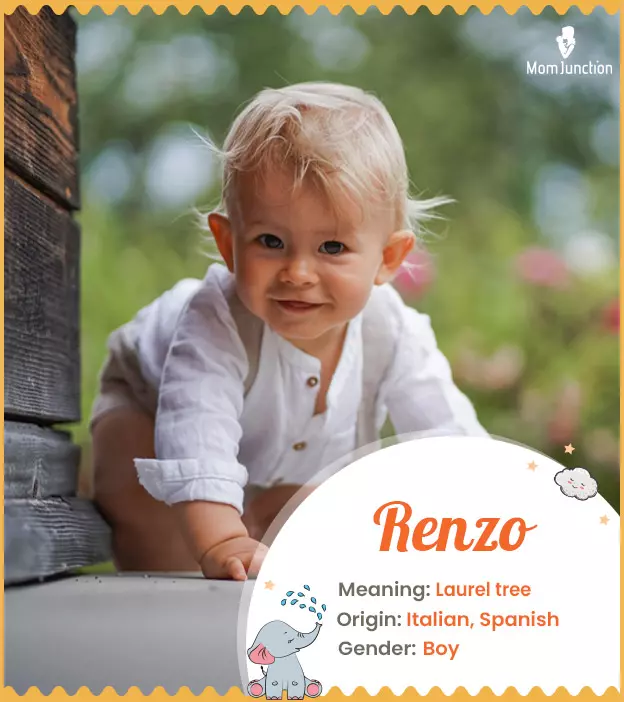 Explore Renzo: Meaning, Origin & Popularity | MomJunction