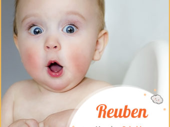 Reuben means son
