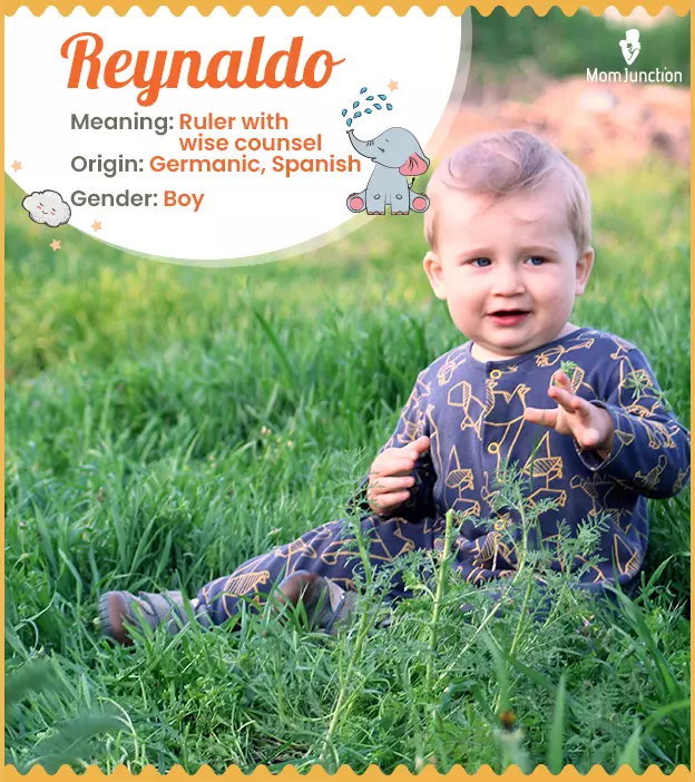 reynaldo: Name Meaning, Origin, History, And Popularity_image