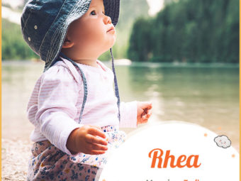 Rhea意为流动的溪流