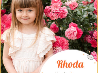 Rhoda meaning rose