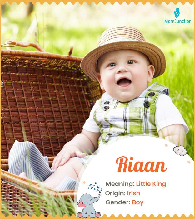 Riaan Name Meaning, Origin, History, And Popularity_image