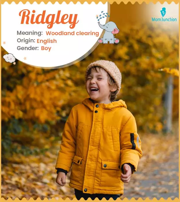 Explore Ridgley: Meaning, Origin & Popularity | MomJunction