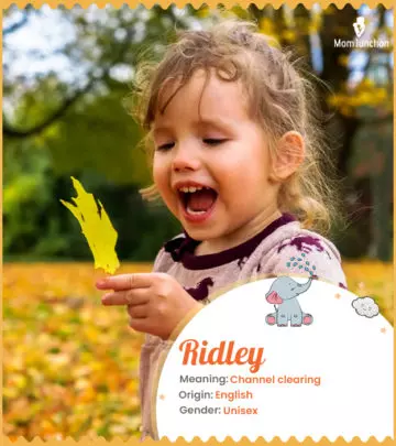 Explore Ridley: Meaning, Origin & Popularity_image