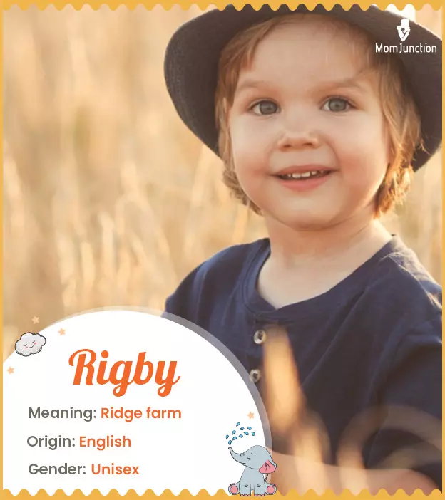 rigby: Name Meaning, Origin, History, And Popularity_image