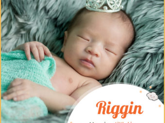 Riggin means little king