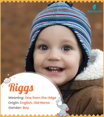 Explore Riggs: Meaning, Origin & Popularity | MomJunction