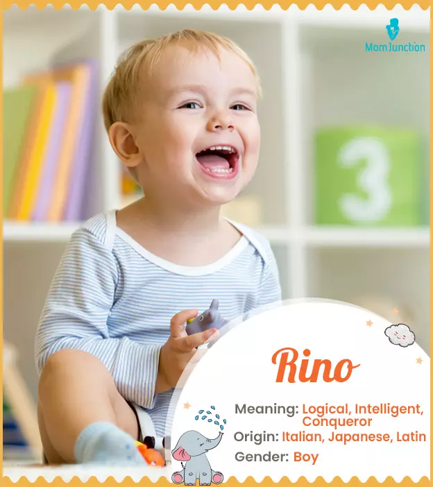 rino: Name Meaning, Origin, History, And Popularity | MomJunction